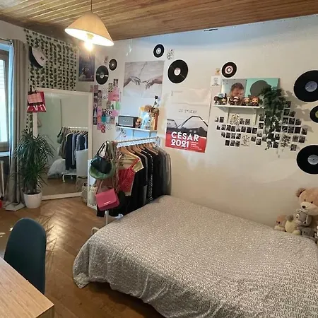 Maison Avec Beau Jardin Ombrage Entre Ville Et Lac Дом отдыха